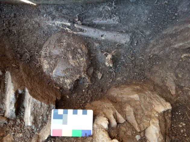 Imagen del craneo encontrado