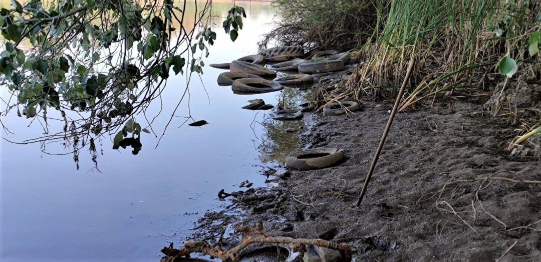 Vertido ilegal de neumáticos en el río a su paso por Mérida