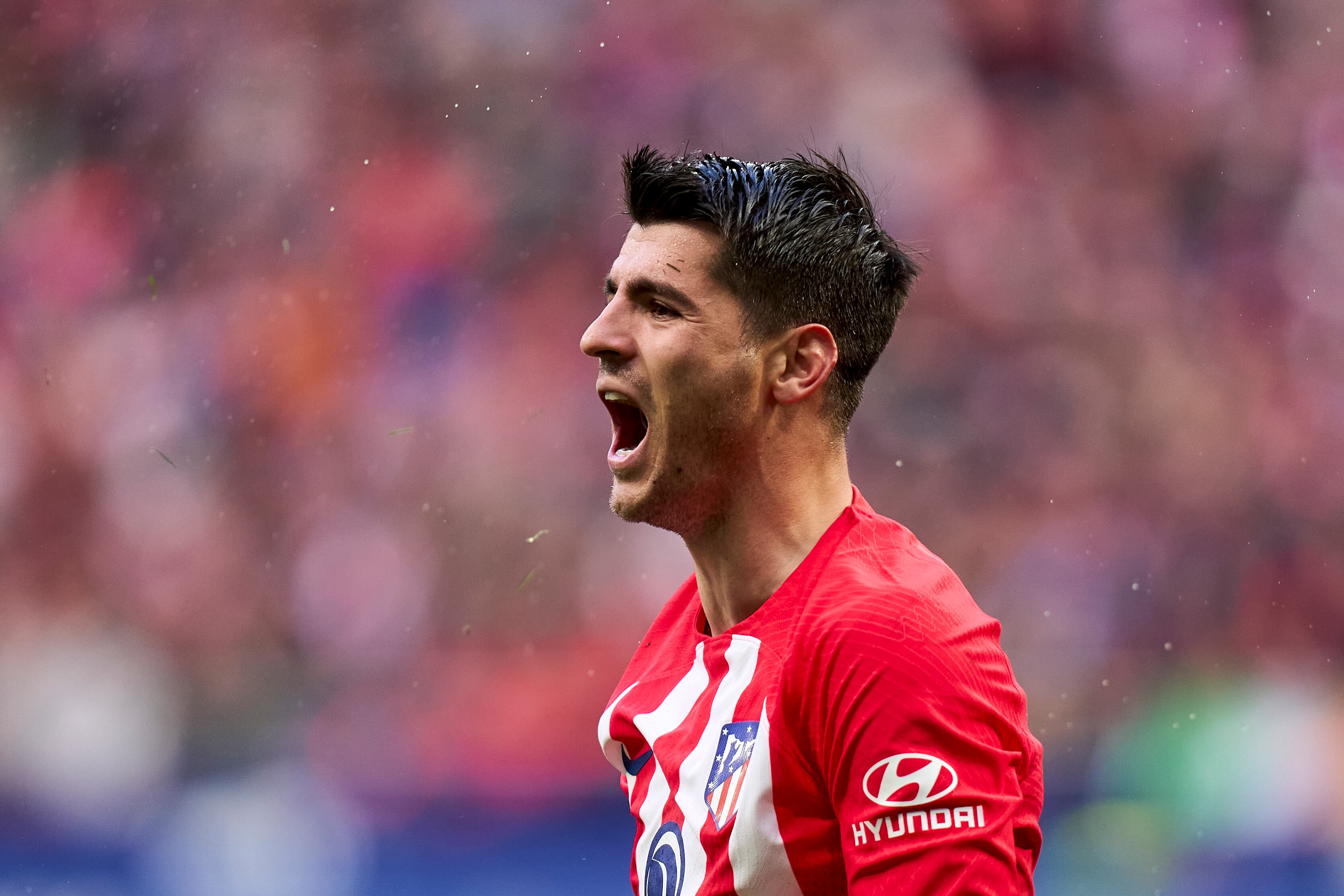 Álvaro Morata celebra un gol en el Metropolitano durante el Atlético de Madrid - Real Betis de Liga