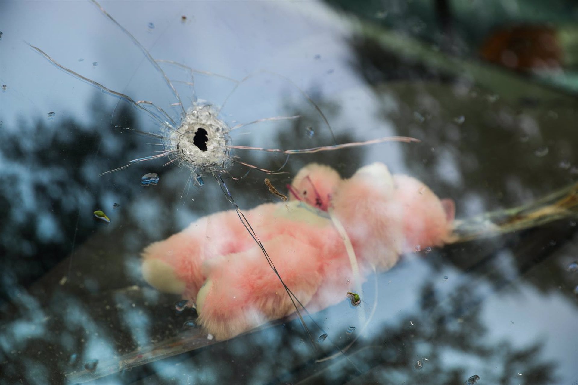 23/05/2023 Balazo en la luna delantera de un coche fruto del tiroteo acontecido en Los Pajaritos
POLITICA 
MARÍA JOSÉ LÓPEZ/EUROPA PRESS
