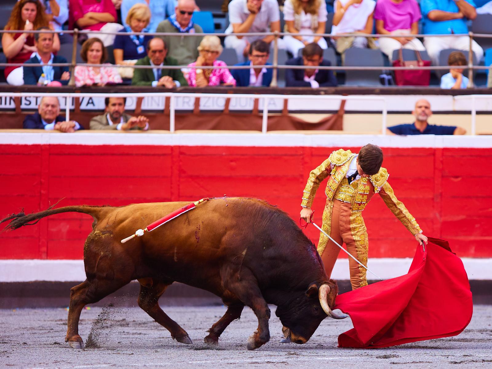 Aarón Palacio, novillero con caballos de Biota
