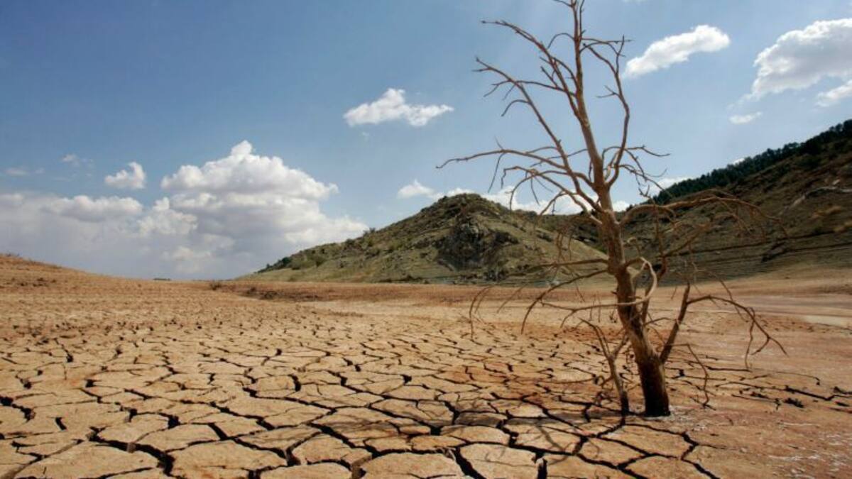 El Instituto de Desarrollo Regional investiga ante el cambio climático