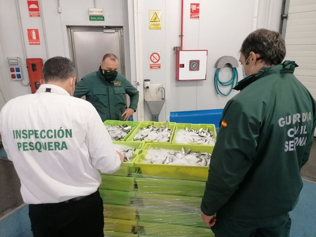 Momento en el que inspeccionan la partida fraudulenta de pescado en las instalaciones de Guarromán