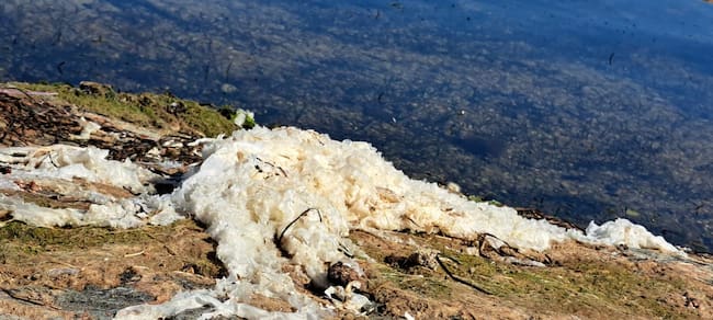 Pacto por el Mar Menor denuncia la saturación de residuos agrícolas en la cubeta sur