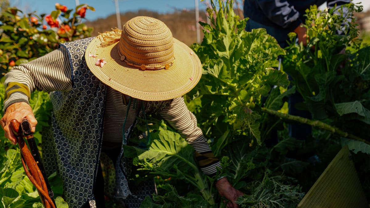 Entrevista con Pilar Hernández presidenta de la Federación de Organizaciones de Mujeres de Lorca y Gloria Alarcón, profesora e investigadora de la Universidad de Murcia