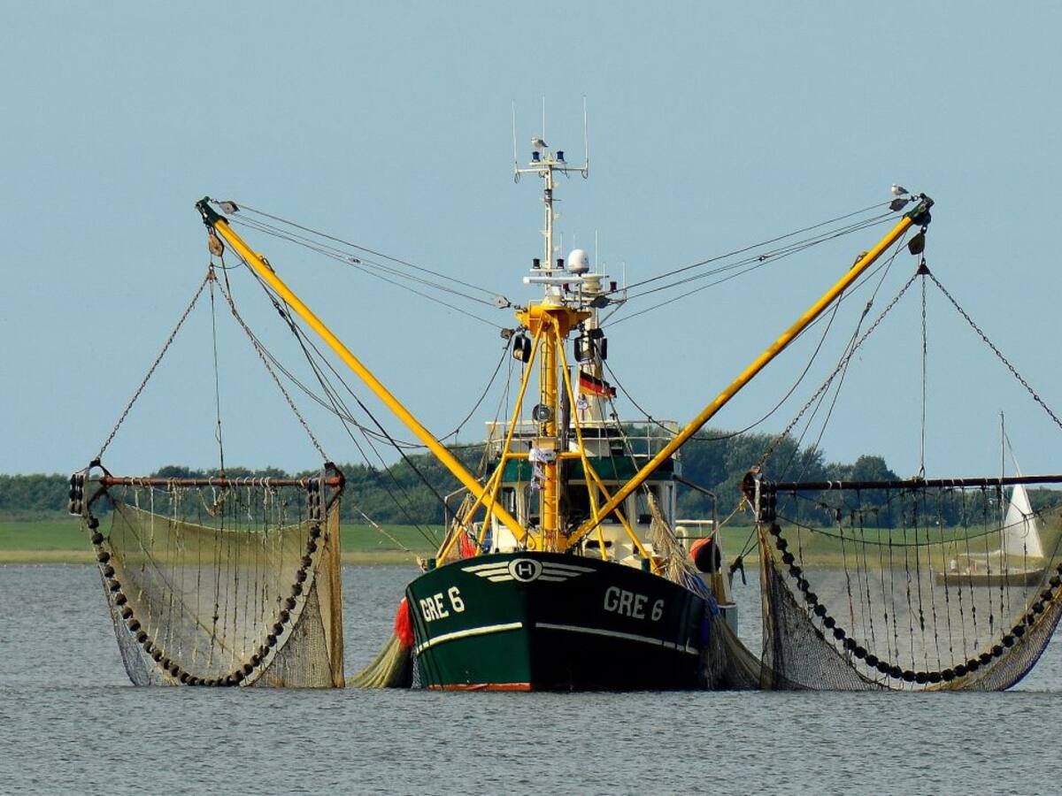 El sector pesquero se organiza para garantizar el abastecimiento