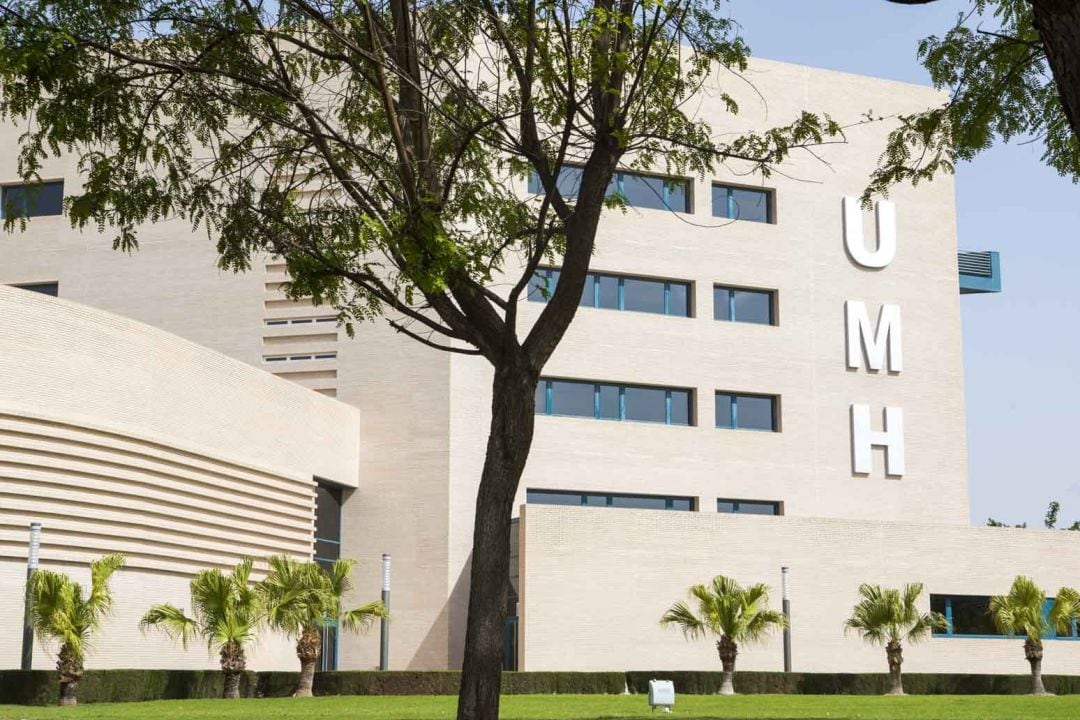 Universidad Miguel Hernández