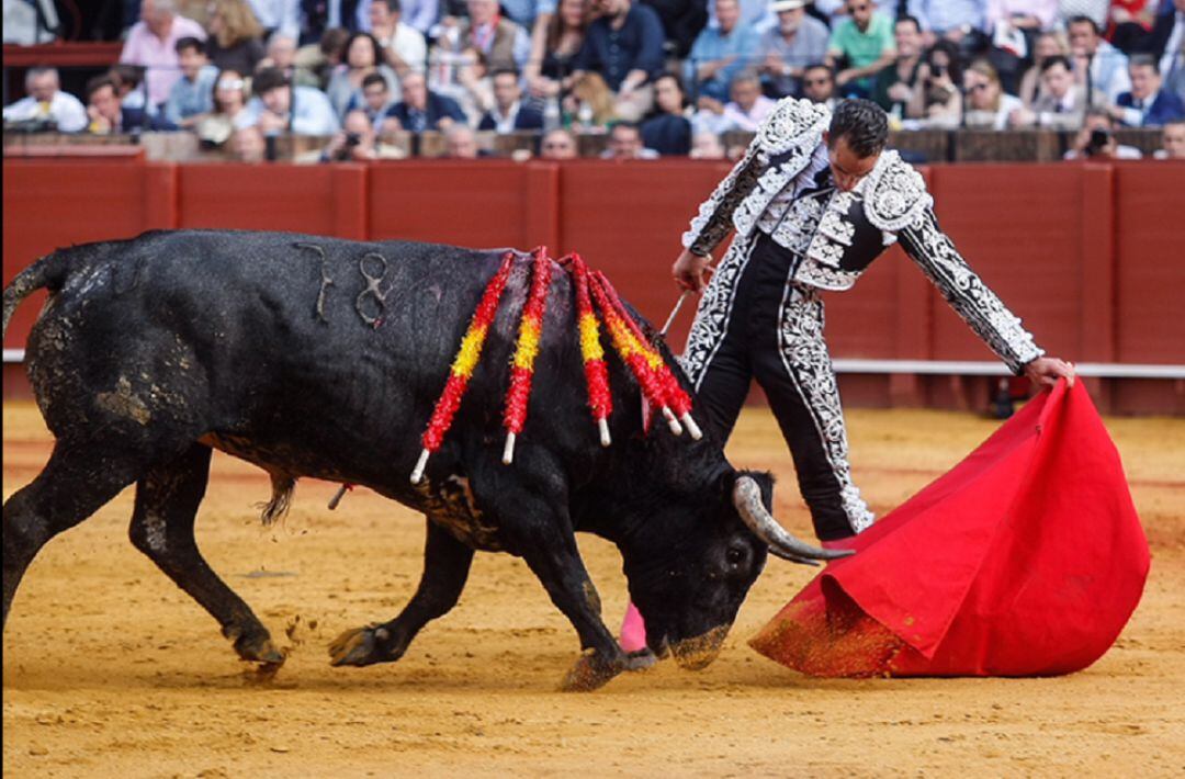 Pepe Moral regresa este martes a la Maestranza tras la gran tarde que brindó en la miurada del pasado año