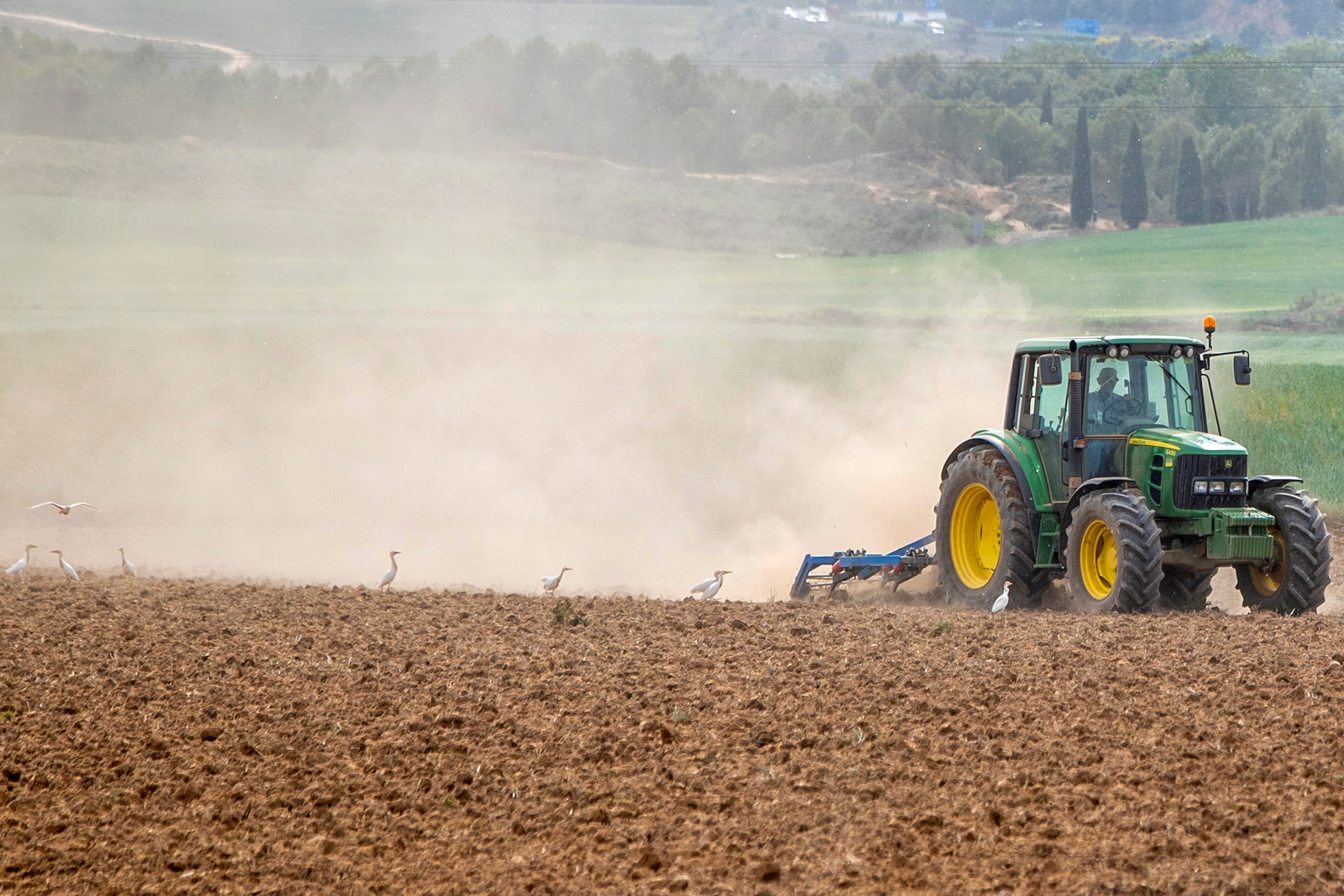 Un agricultor labra con tractor la tierra.