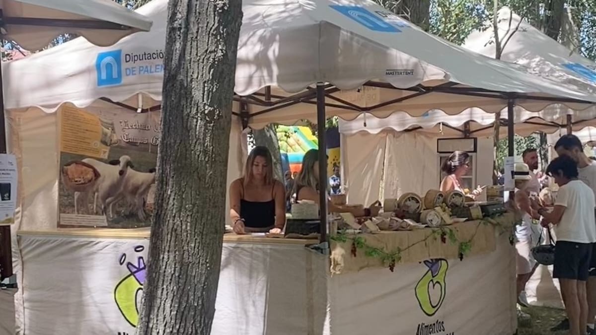 La Diputación moviliza cerca de 400.000 euros en ayudas al tejido empresarial