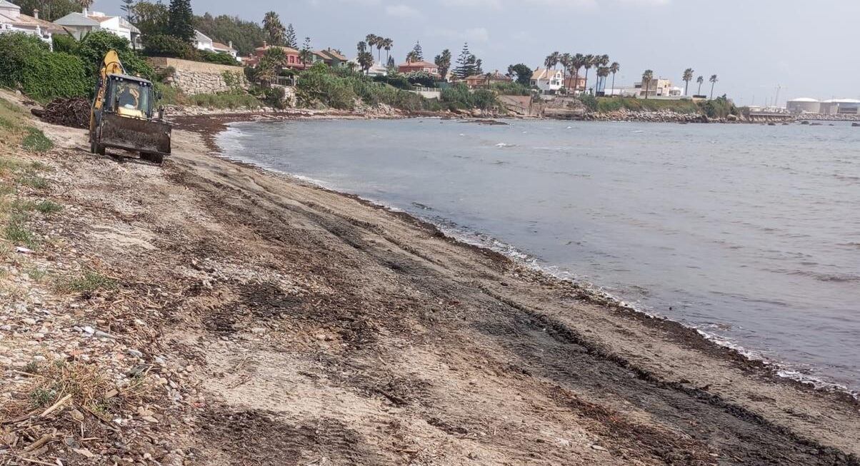 Trabajos de recogida de algas en la zona