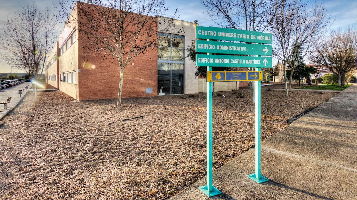 ENTREVISTA PEDRO JOSÉ PARDO CUME ACREDITACION ANECA