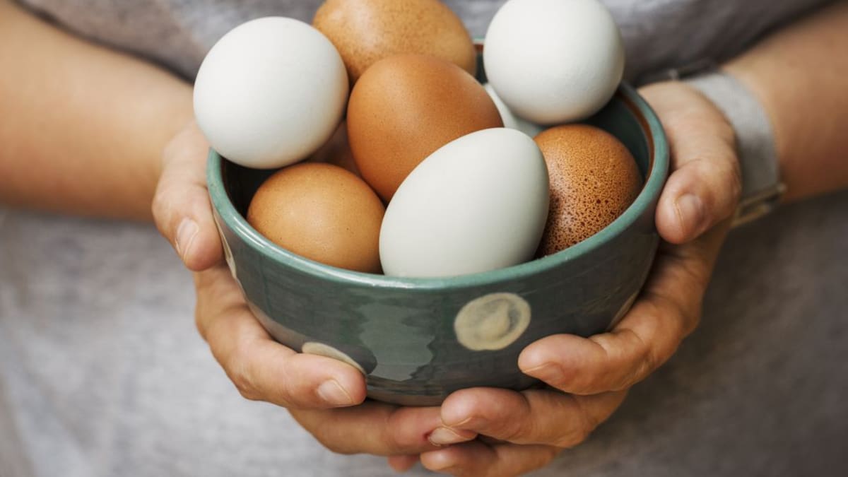 "Se pueden comer siete huevos a la semana"