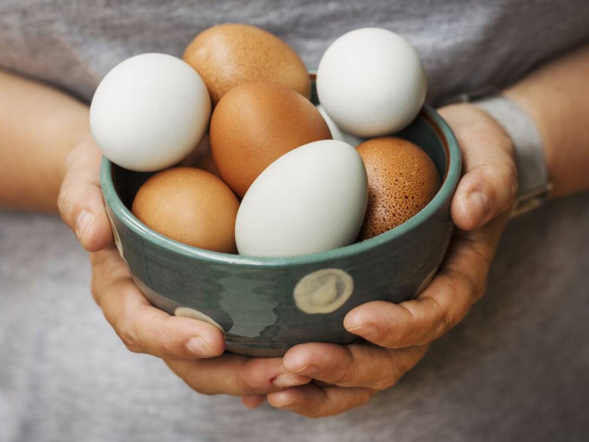 "Se pueden comer siete huevos a la semana"