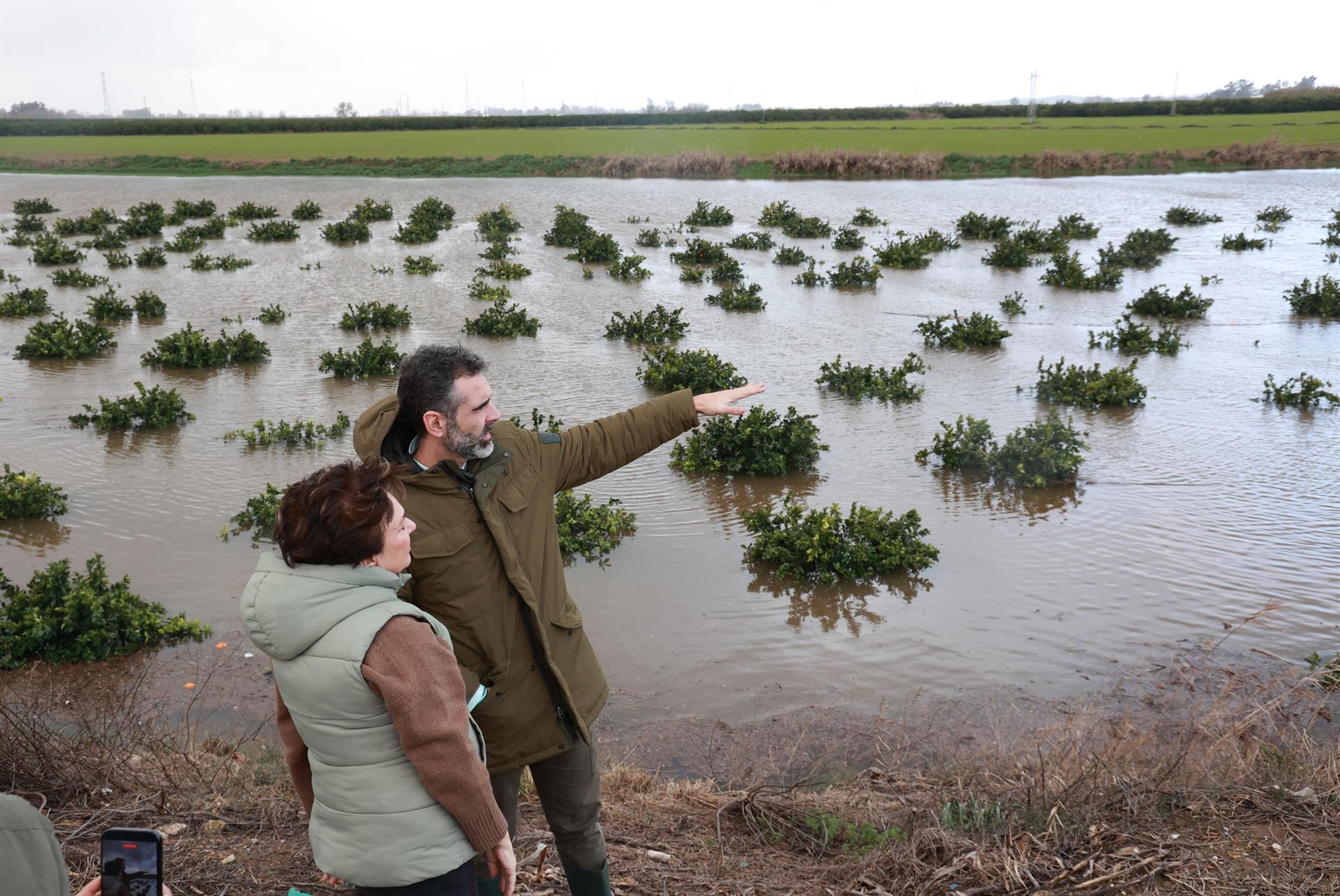 La Junta de Andalucía estima que entre un 15% y un 20% de la producción agraria andaluza se verá dañada por el temporal