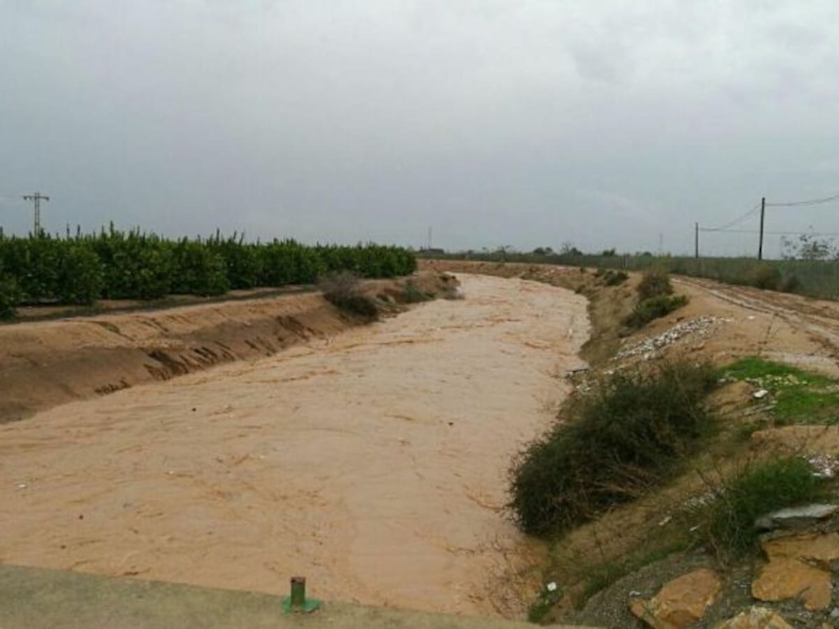 Ecologistas denuncian que estas últimas lluvias han provocado la entrada de grandes flujos de contaminación agraria a la Laguna