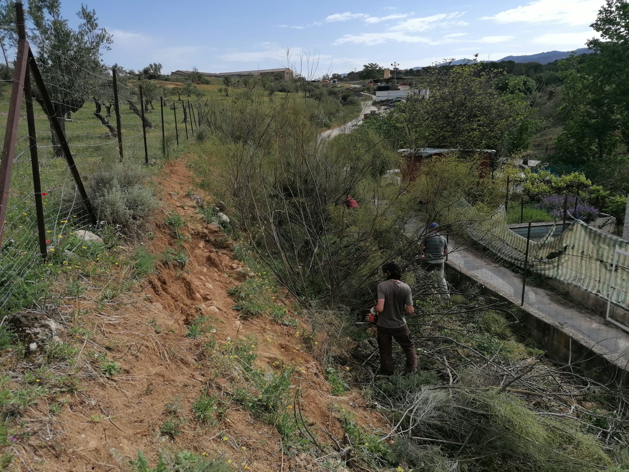 Voluntarios de la Asociación por los Caminos Públicos de la Serranía de Ronda durante la actuación de este sábado