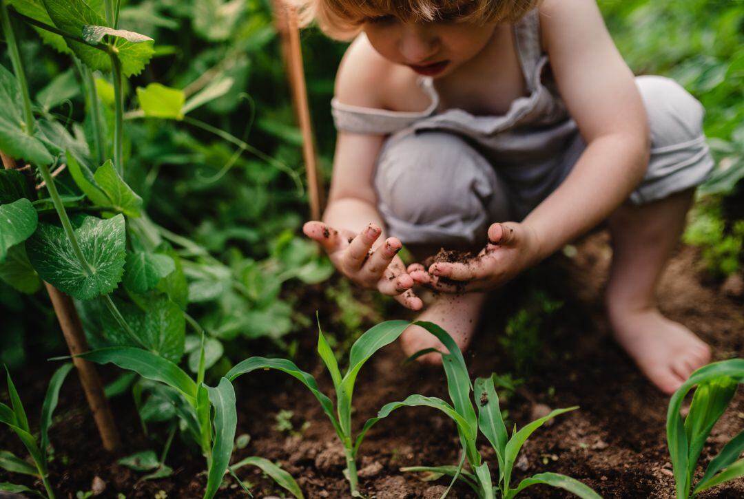 La agricultura debe cambiar, según los ecologistas