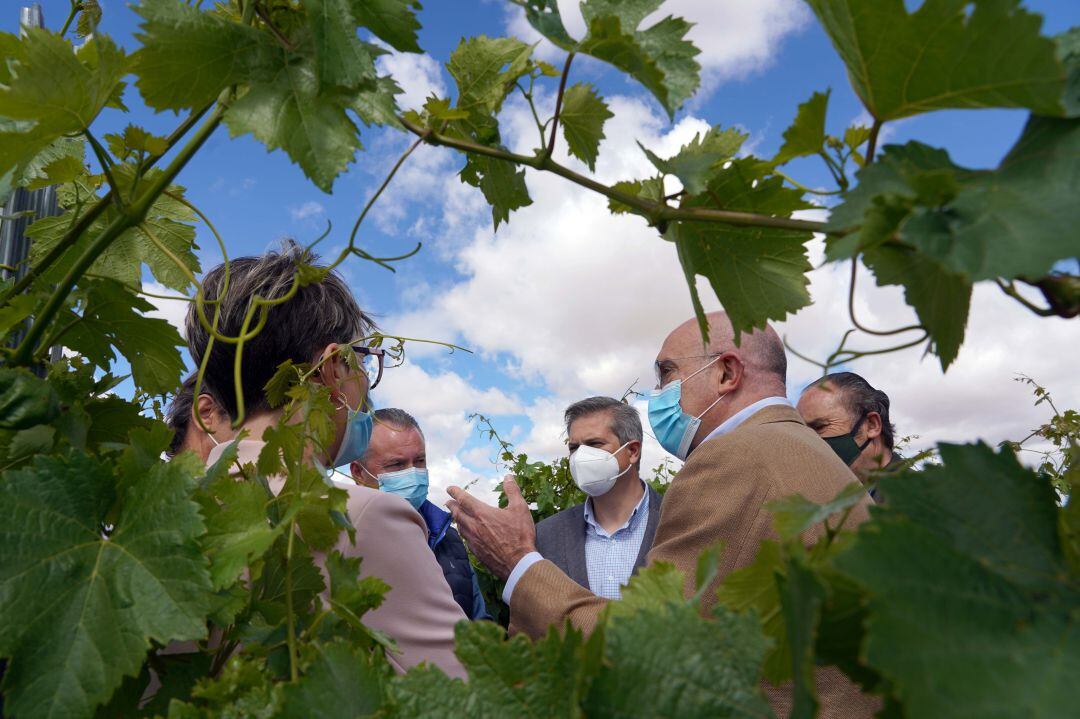 Jesús Julio Carnero, consejero de Agricultura y Ganaderia, en una visita reciente a la DO Rueda