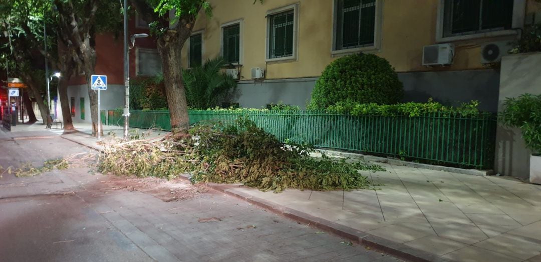 Estado en el que han quedado algunas calles de la capital tras las fuertes rachas de viento.