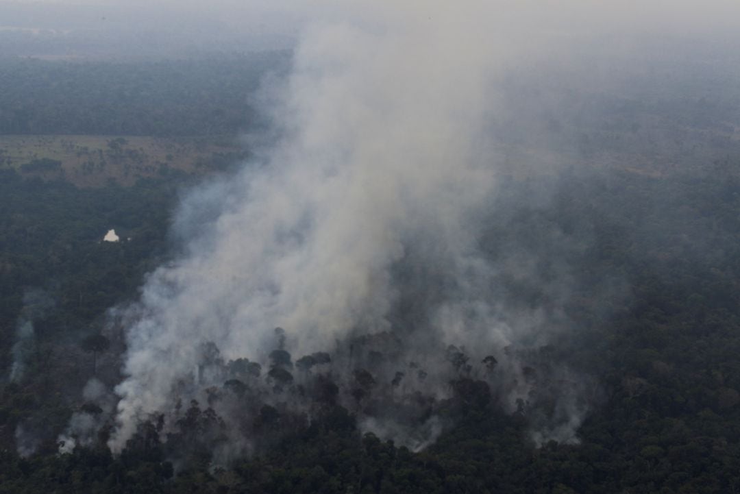 Un incendio en una zona de la selva amazónica brasileña deforestada por madereros y agricultores cerca de Porto Velho, en el estado de Rondonia, en agosto de 2020.