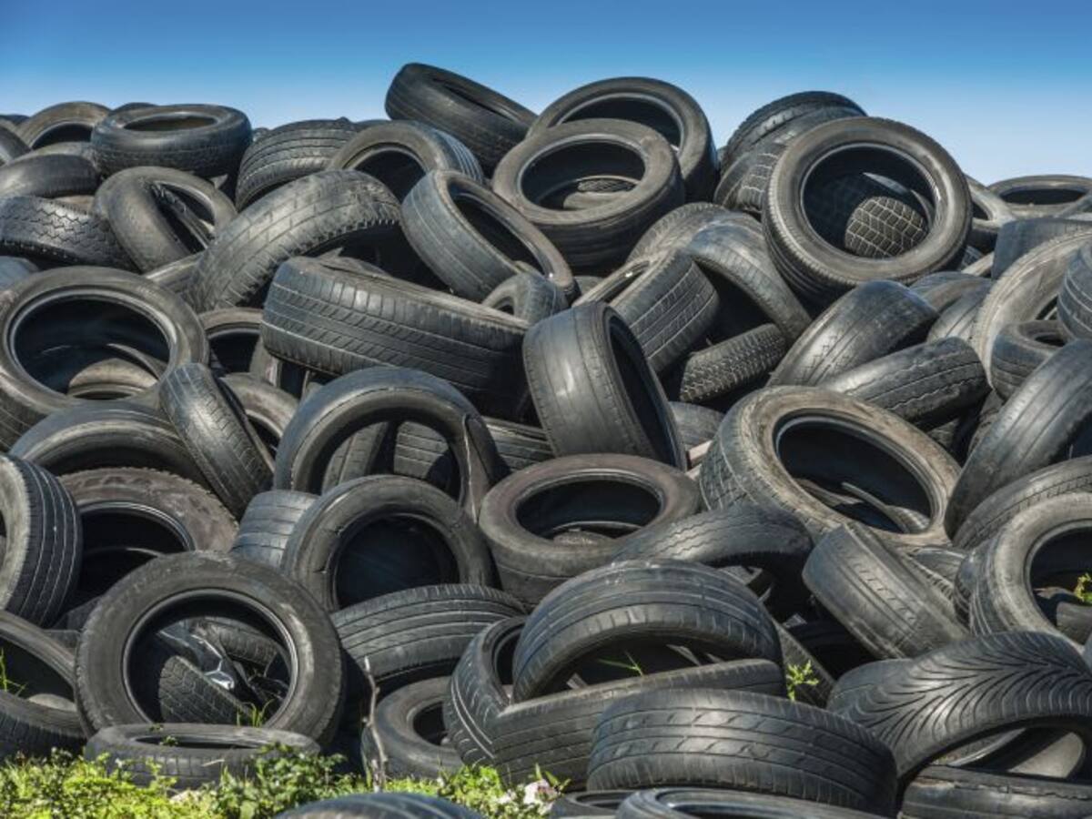 Señalando a los destructores del medio ambiente