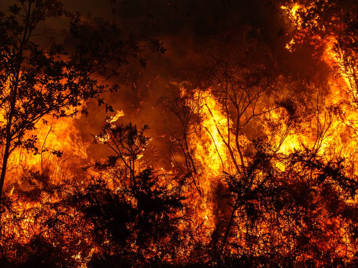 Los Revolucionarios | De trabajar en la NASA a frenar las catástrofes naturales: así es la trayectoria de Alejandro Martí