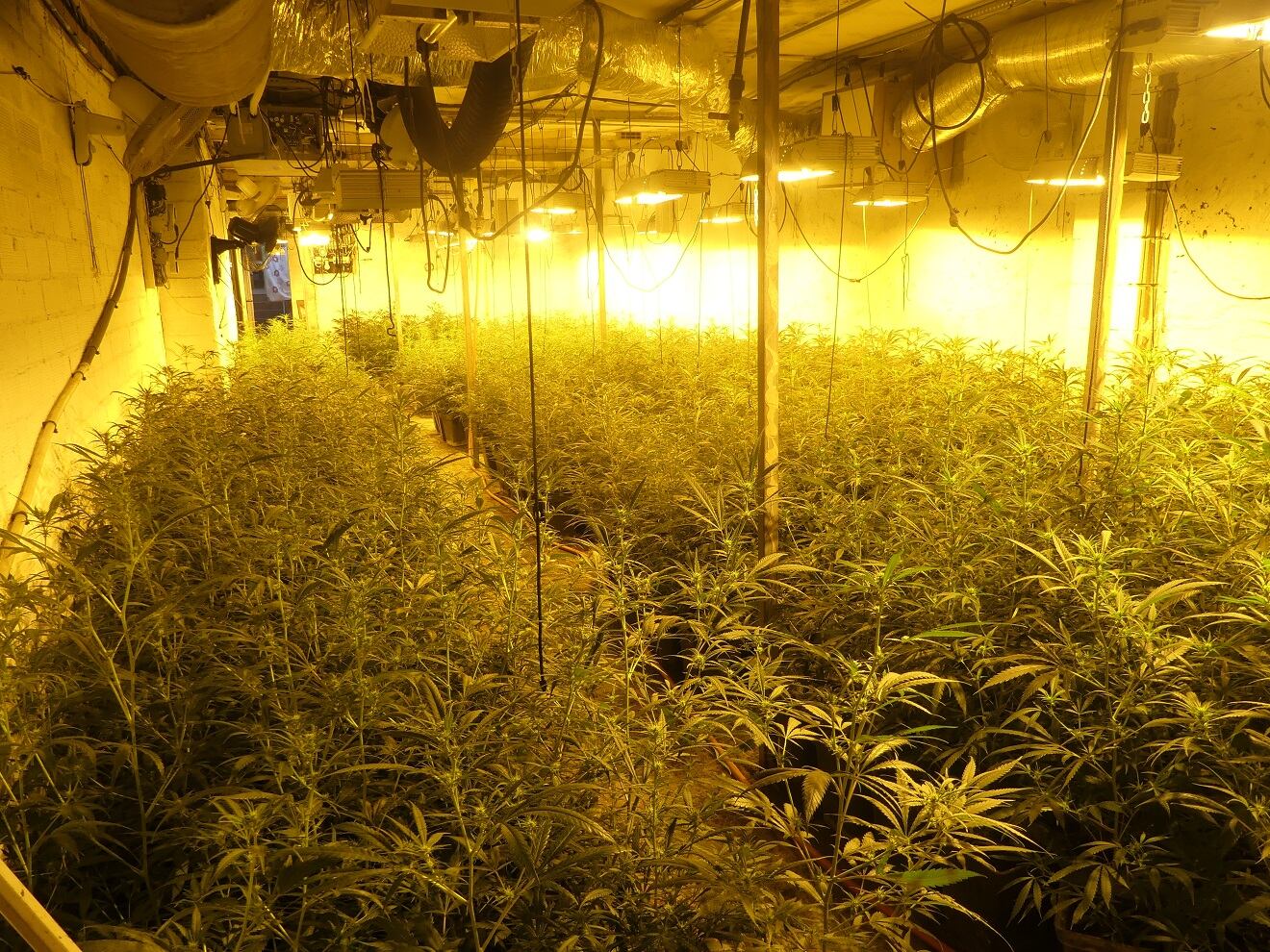Una de les estances de la casa, a nom d&#039;una empresa de construcció que els detinguts per cultivar la marihuana haurien utilitzat per blanquejar els beneficis de la venda de la droga. Foto: Mossos.