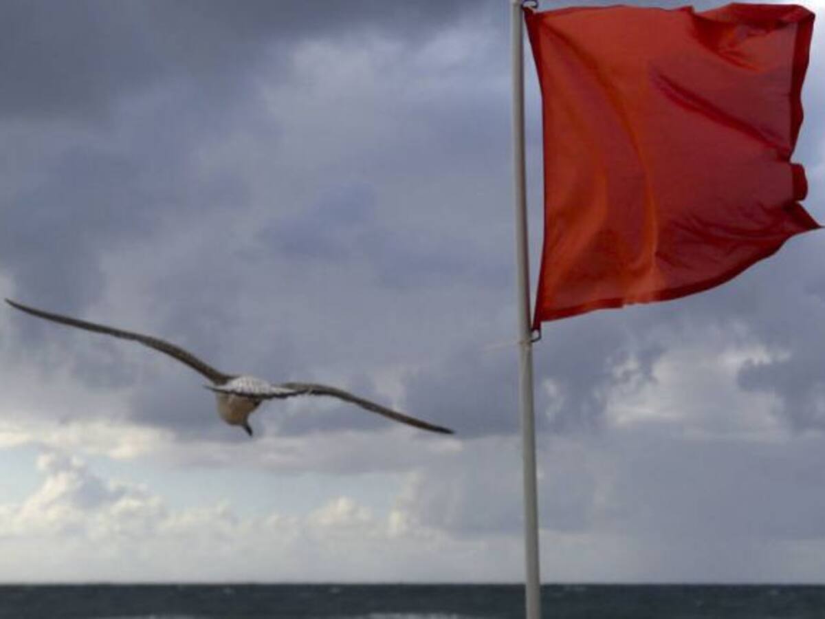 Bandera roja de nuevo en San Lorenzo