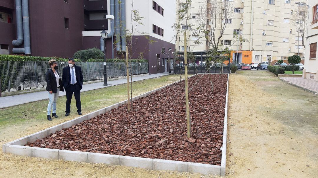 Imagen de los trabajos.