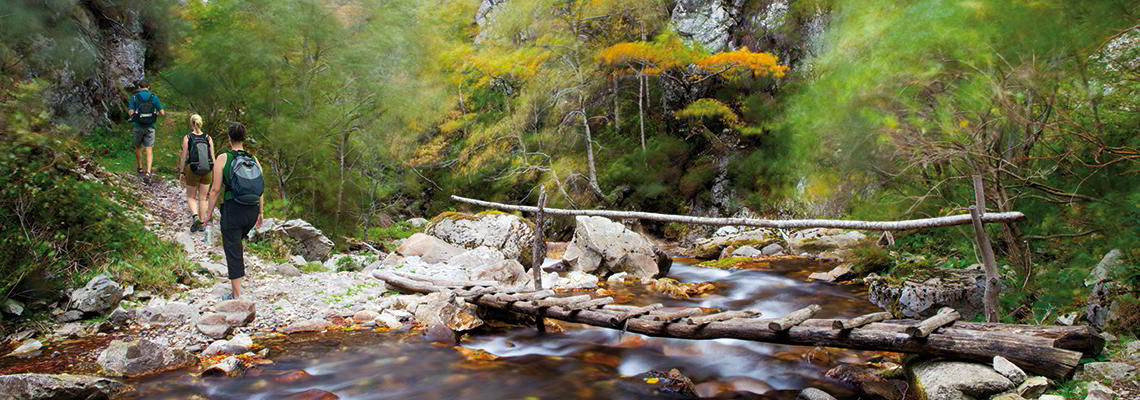 Los turistas disfrutan de una explosión de naturaleza en Asturias