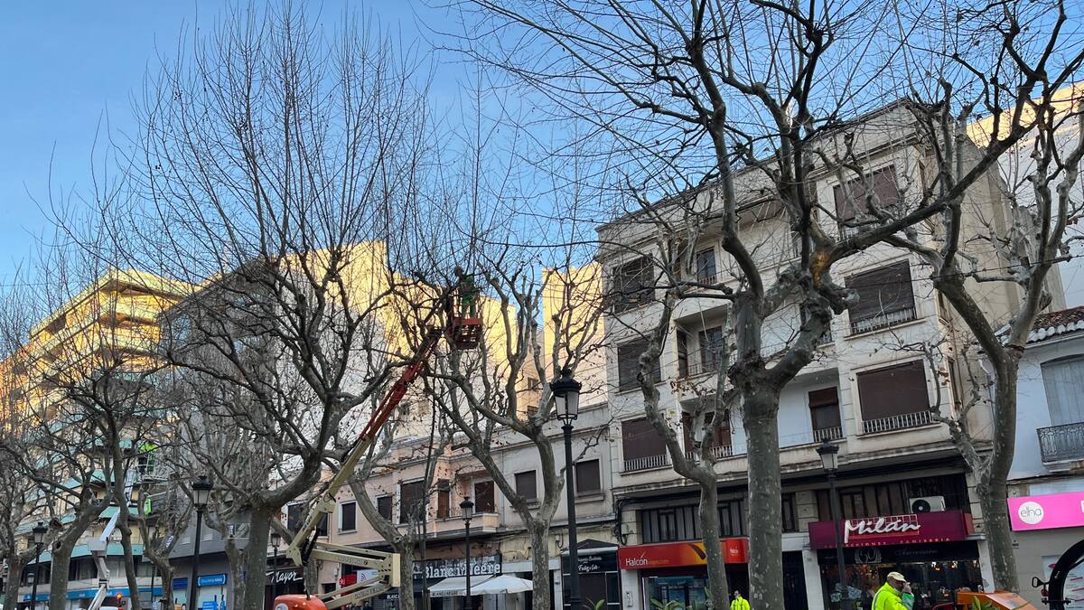 Jordi Payà, meteorólogo y colaborador de Radio Gandia SER (03/02/2022)