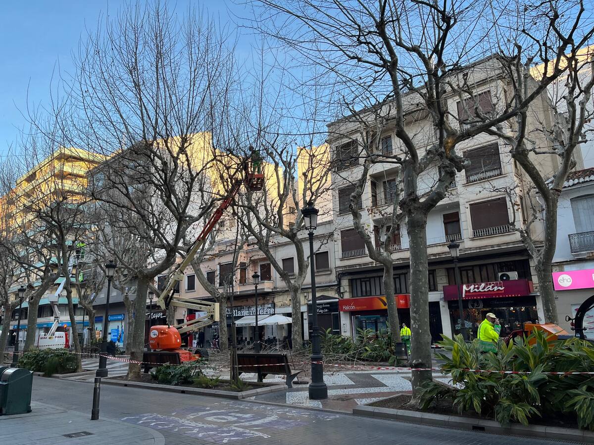 Los termómetros llegan a los 27º en la Safor en este febrero