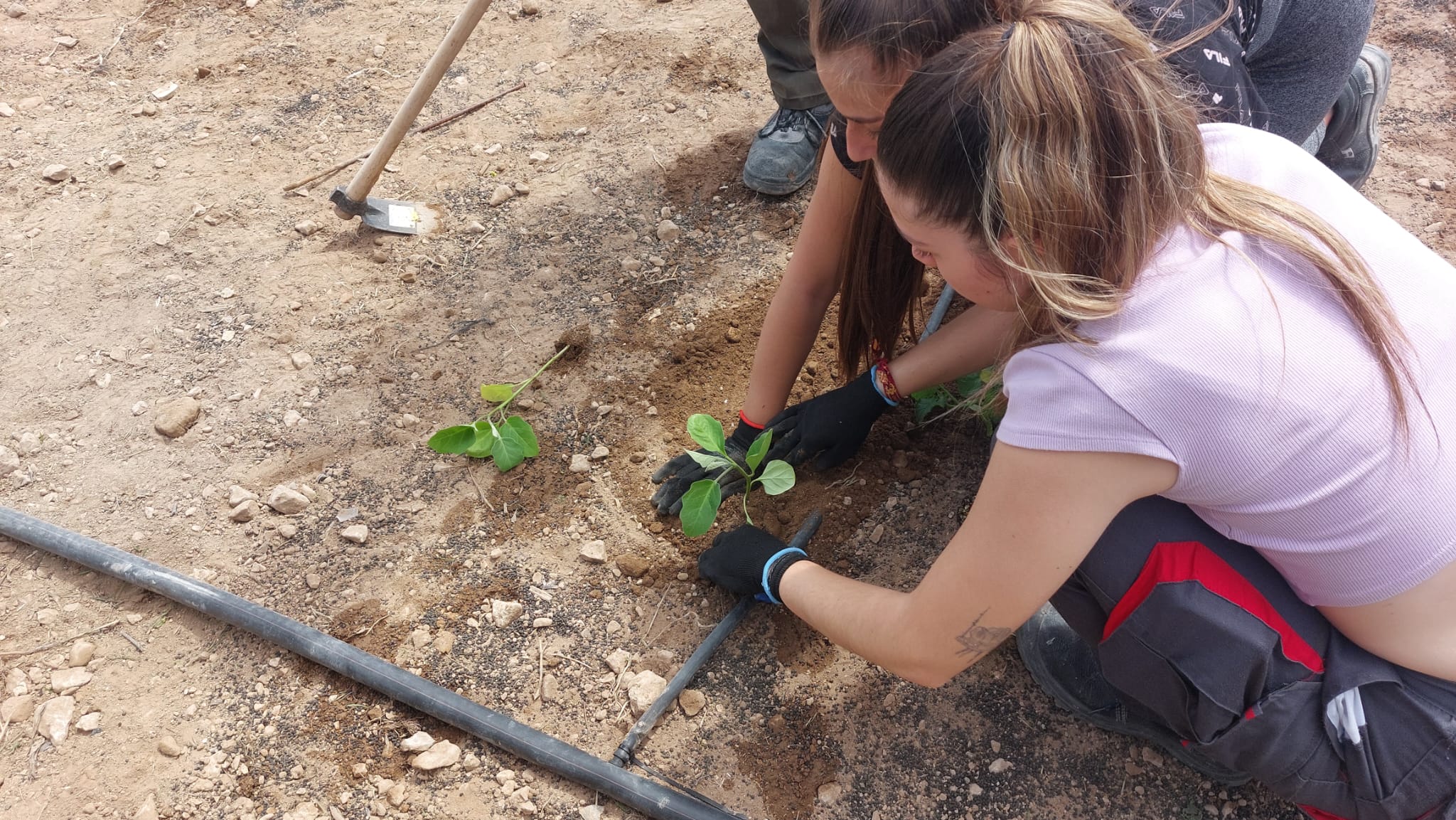 Otras alumnas en la plantación