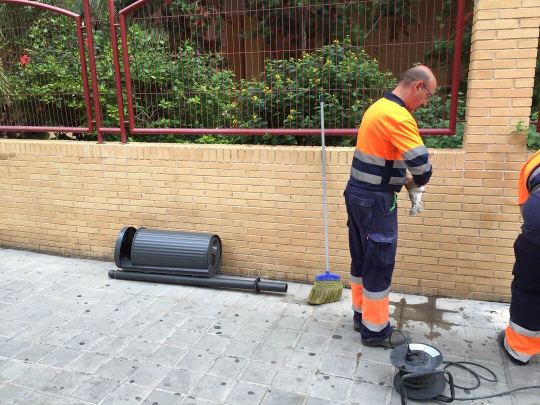 Operarios de la limpieza en una calle de Alicante.