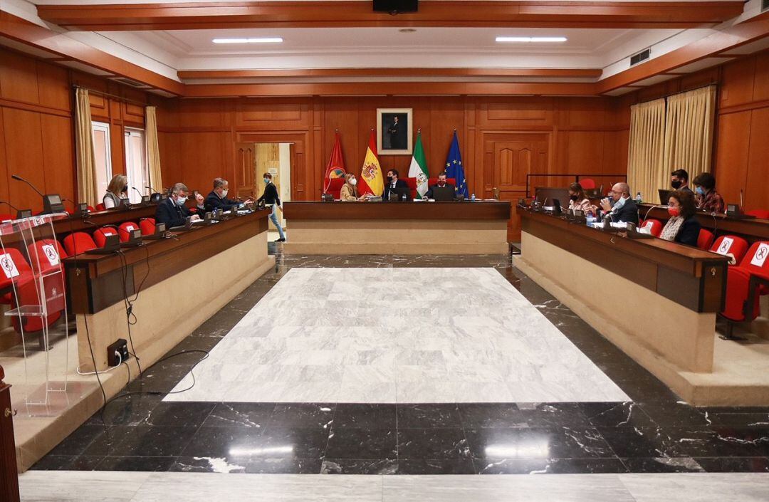 Pleno Municipal del mes de noviembre