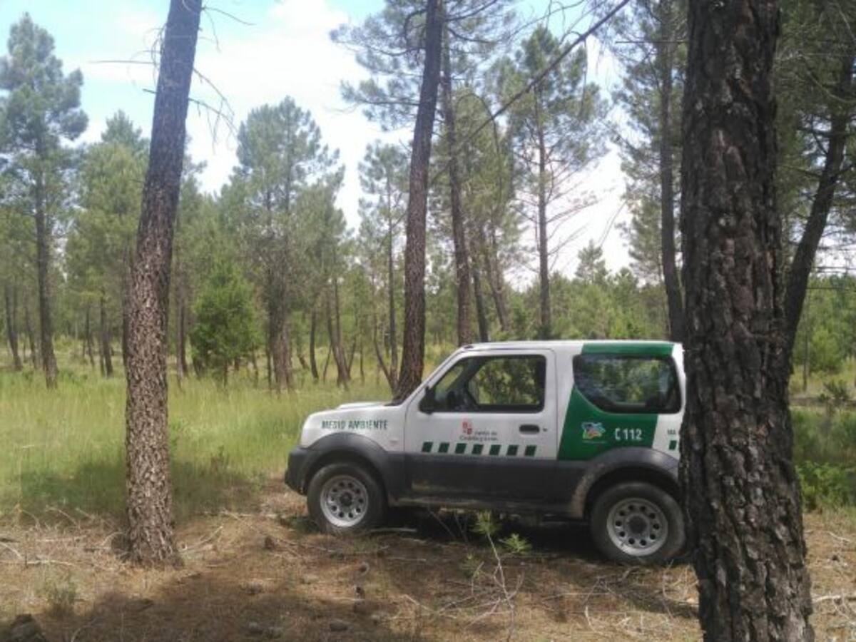 Todos contra el fuego