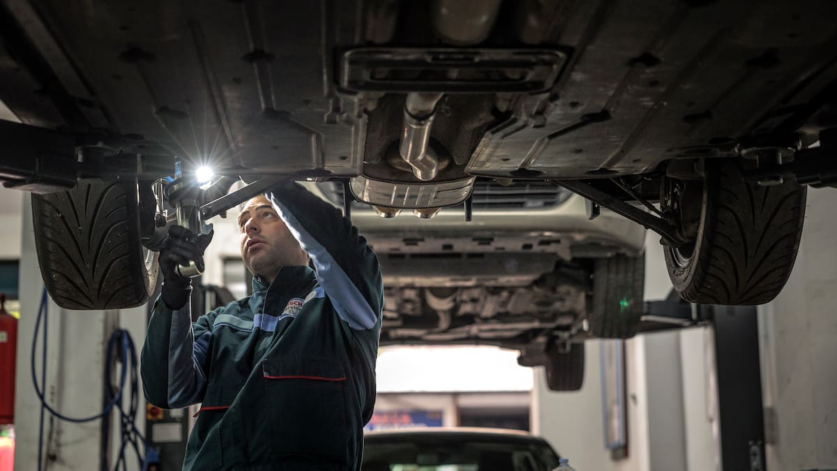 Segovia es la única provincia de Castilla y León que gana 81 autónomos en 2025