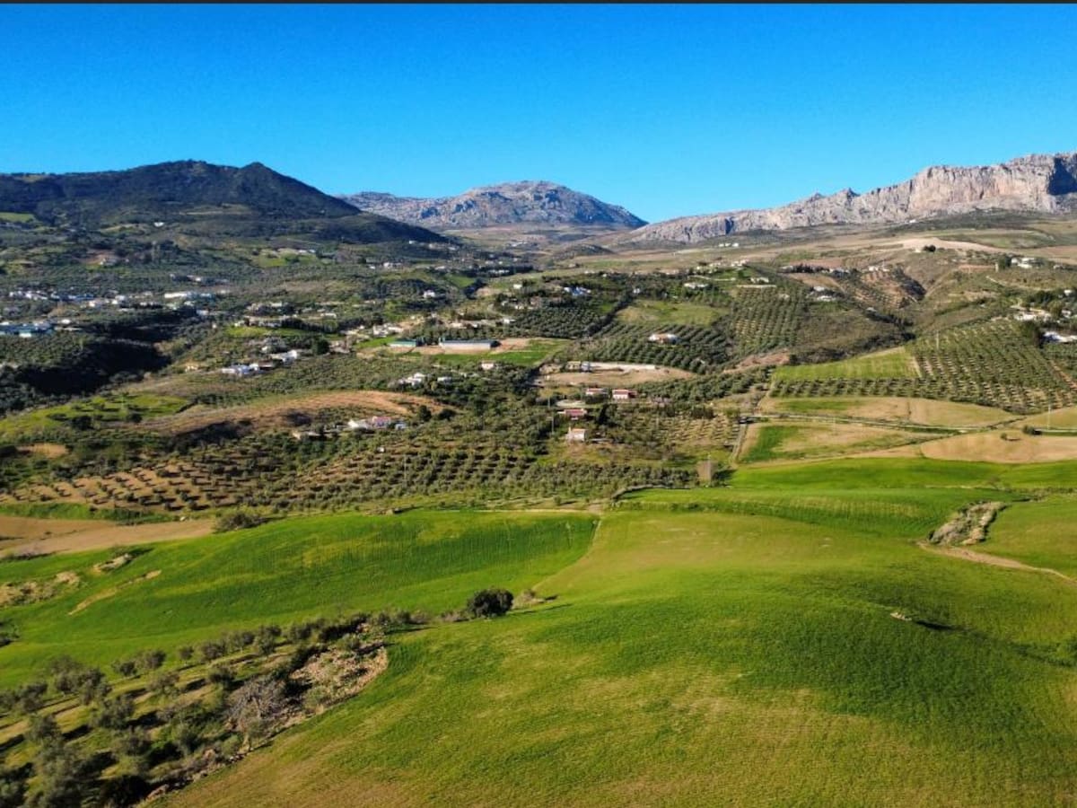 El Torcal rechaza la planta de hidrógeno verde: "Es una aberración"