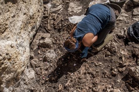 Excavación en &#039;El Pendón&#039;