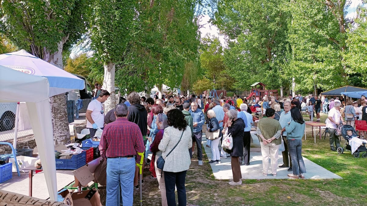 Piñel acogió más de 2.000 visitantes en su feria del tomate