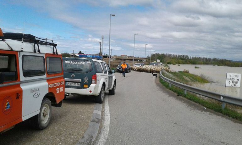 Dispositivo de Guardia Civil en Novillas, en abril de 2018