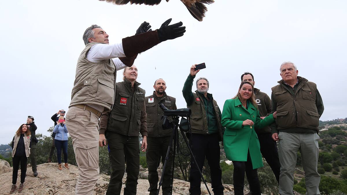 Entrevista a Pepe Lara, jefe de área de fauna y flora de la Comunidad de Madrid, sobre el aumento de población de Águila Imperial en la región