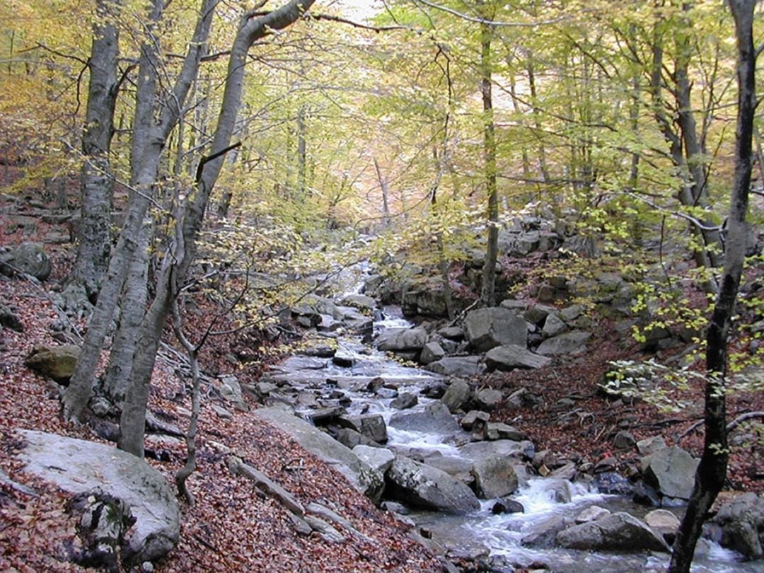 Imatge d&#039;arxiu del Parc Natural del Montseny