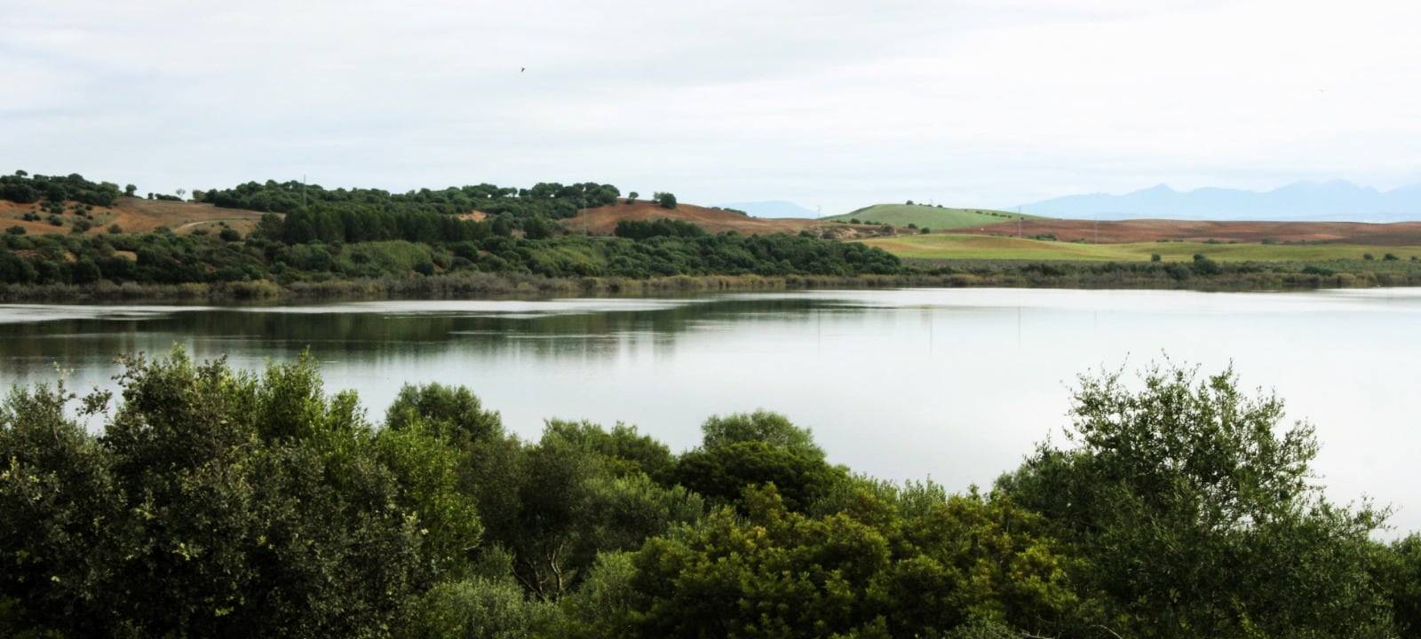 Recorrido por la Laguna de Medina