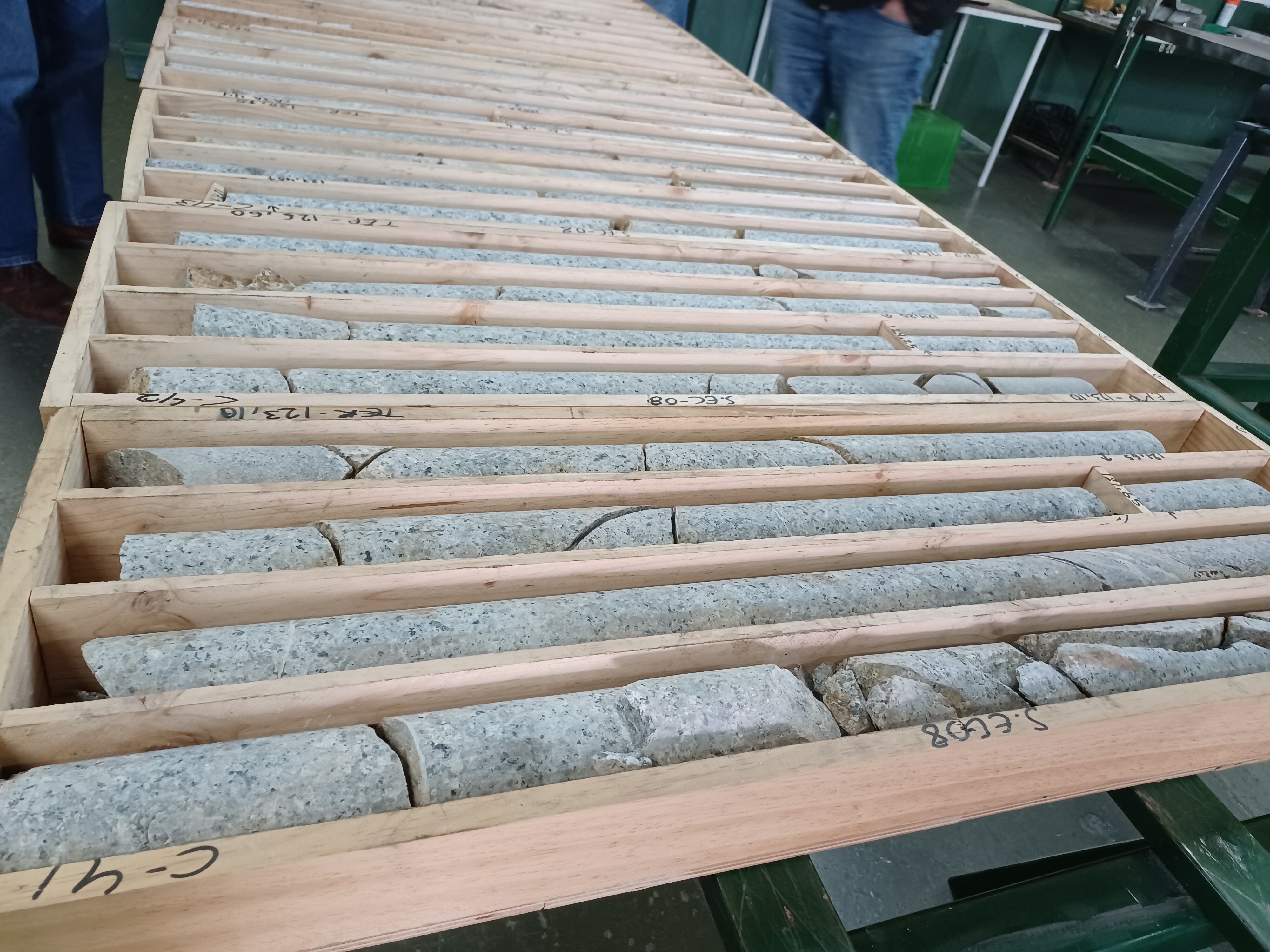 Sondeos realizados por Nuevo Linares.