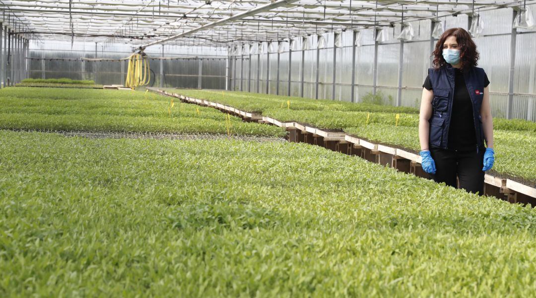 Díaz Ayuso durante su visita al Imidra.