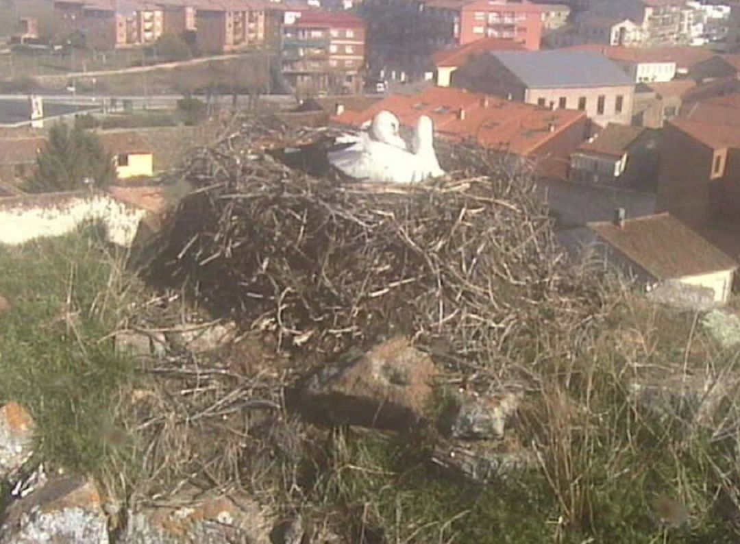 Imagen transmitida a través de una webcam