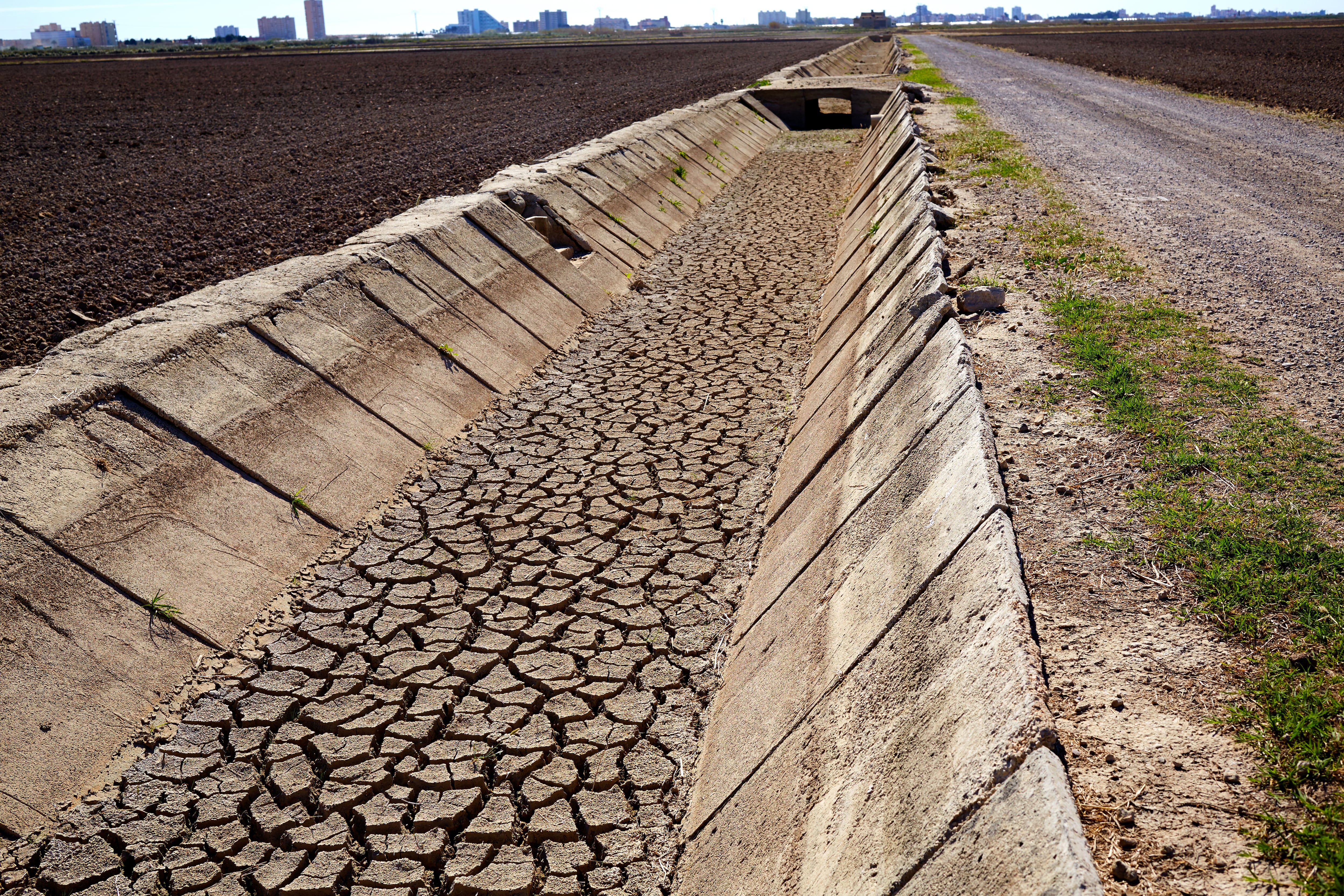 Acequia en l&#039;Albufera de València