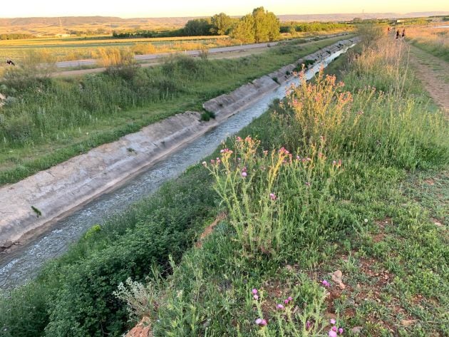 Canal del Henares a su paso por Cabanillas del Campo